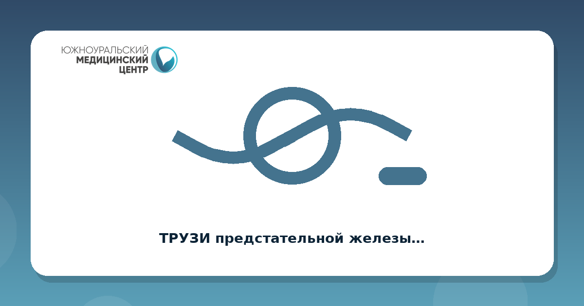 ТРУЗИ предстательной железы, трансректально, с мочевым пузырем